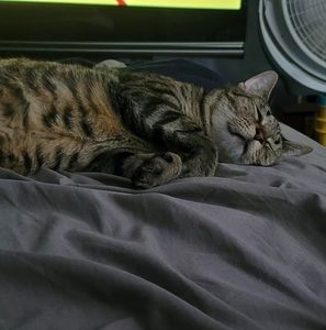 Meet your Posher, Rodney